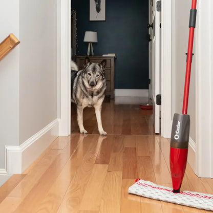 O-Cedar Promist MAX Spray Mop with 2 Extra Replacement Pads | Quick Cleaning Tool | Machine Washable | Reusable | Absorbent Microfiber Mop Heads | Floor Cleaning