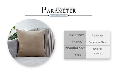 Velvet Pillow Cover