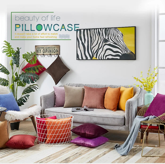 Velvet Pillow Cover