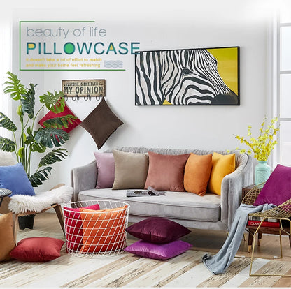 Velvet Pillow Cover