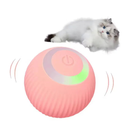smart cat ball