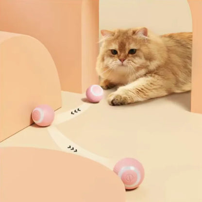 smart cat ball