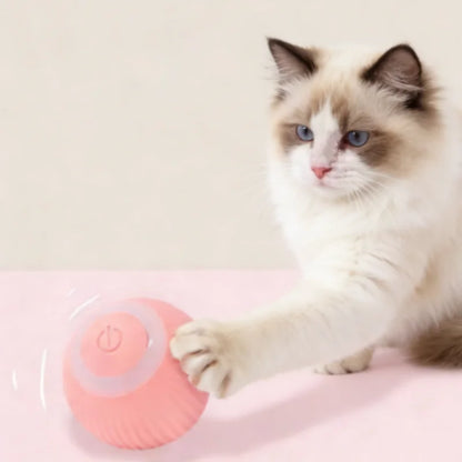 smart cat ball