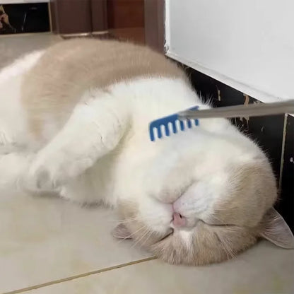 cat ball toy