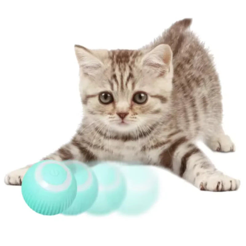 smart cat ball