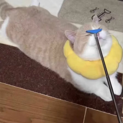 cat ball toy