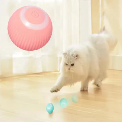 smart cat ball