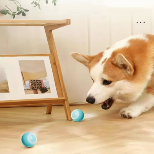 smart cat ball